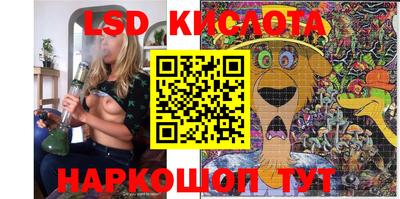 mdpv Заводоуковск