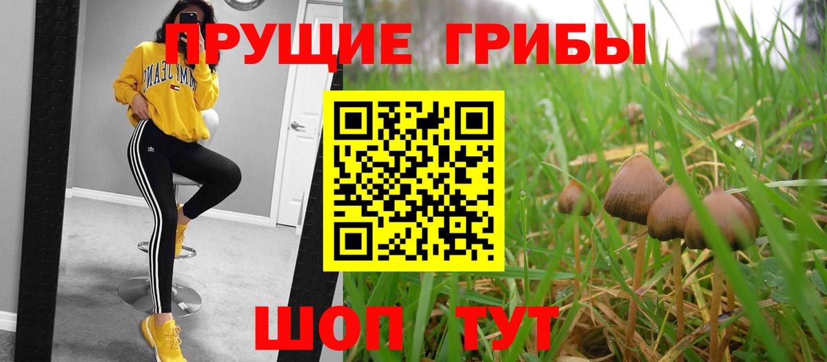 Галлюциногенные грибы мухоморы Мелеуз