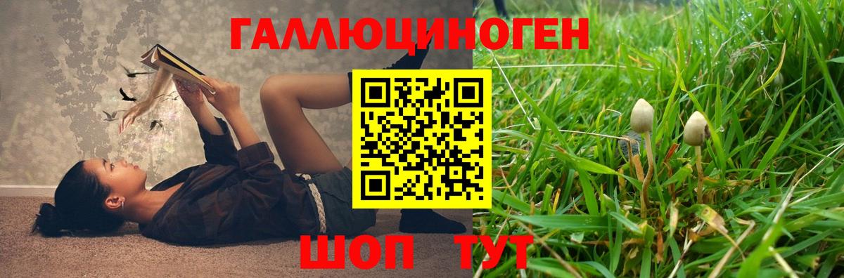 Мелеуз  Псилоцибиновые грибы Psilocybe  Вход с VPN  Псилоцибиновые грибы мухоморы 